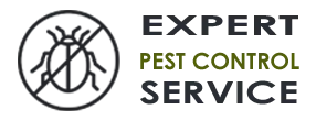 Emergency Exterminator Company Sumner WA